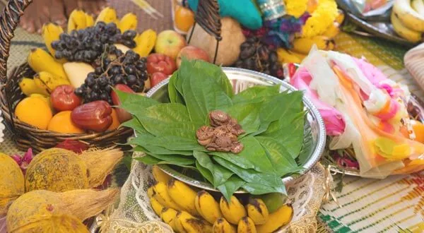 Puja offerings of fruits, bananas and betel leaves